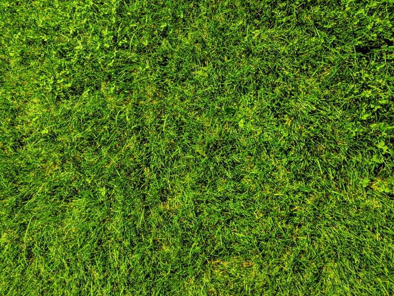 Acreage Calculator (Acres to Square Feet)